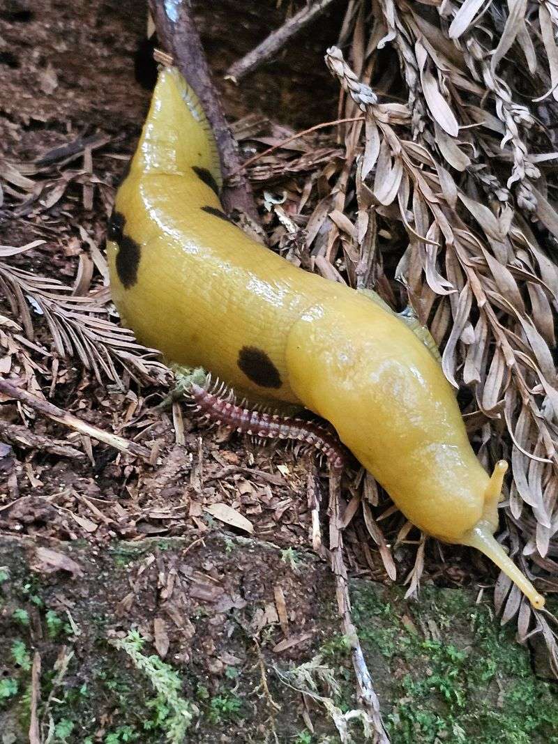 Wildlife Moments That Feel More Intimate in the Fog