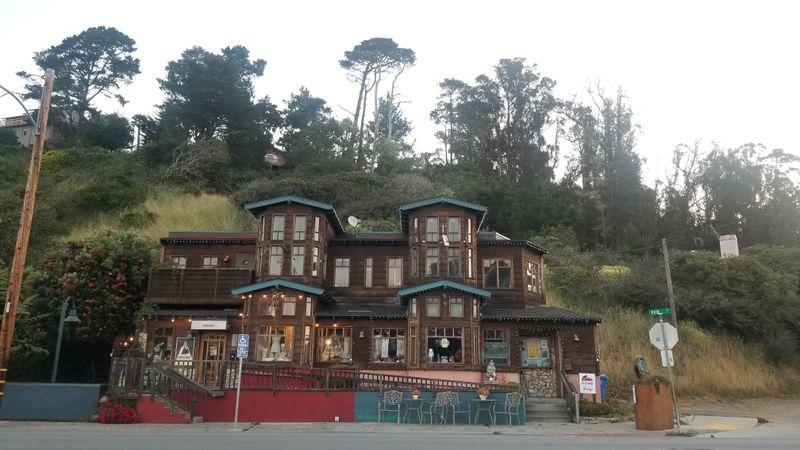 A Forested Hillside That Transforms Into a Lantern Walk