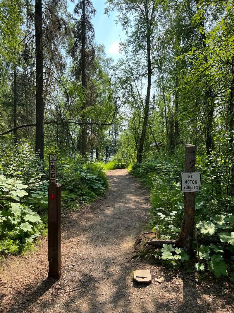 Winter Days That Look Empty And Hide A Full Adventure List