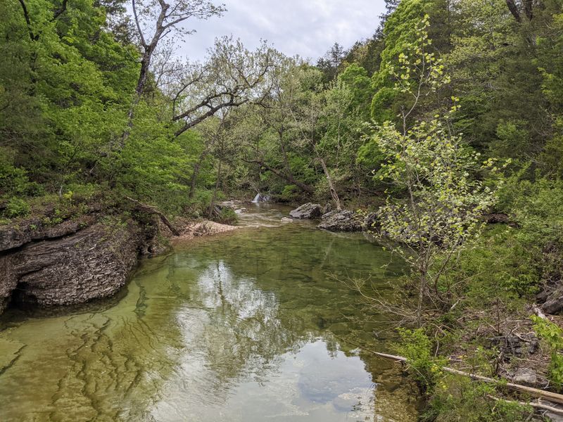 Photography And The Mood Of The Wilderness