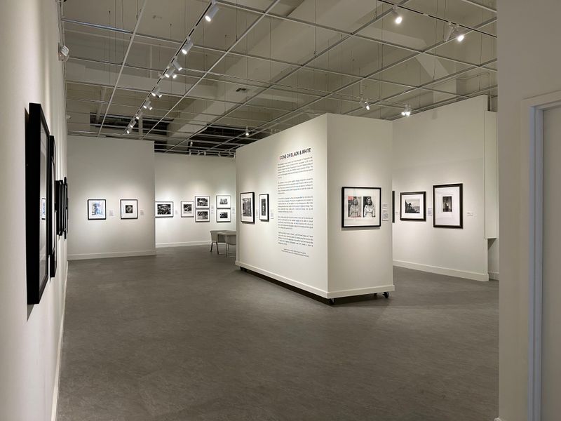 Florida Museum Of Photographic Arts