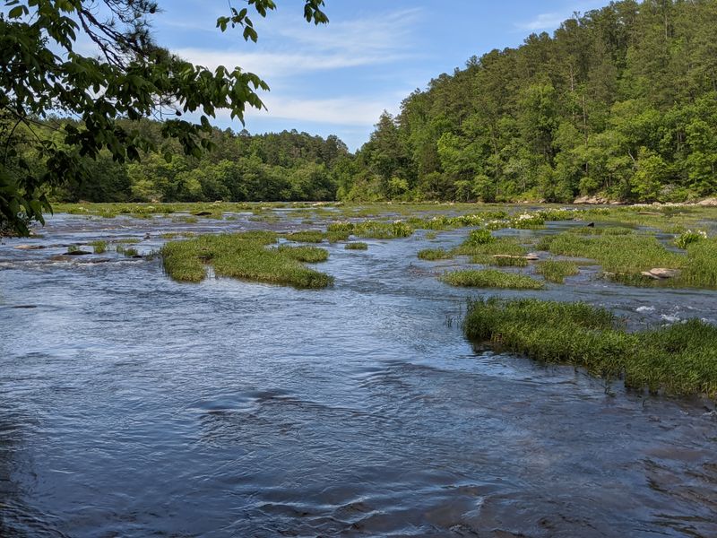 Cahaba River National Wildlife Refuge, River Trace, West Blocton, AL
