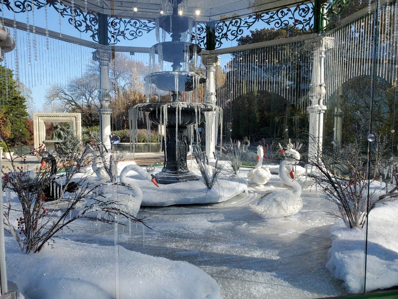 Stunning Seasonal Flower Displays and Winter Blooms