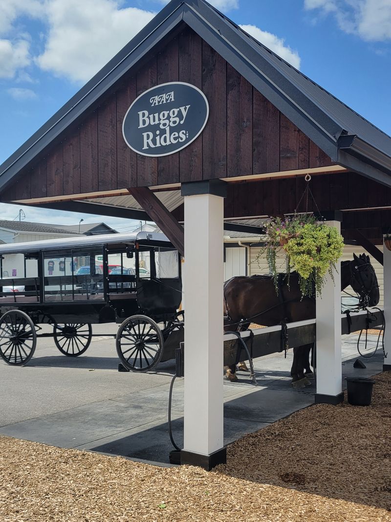 AAA Buggy Rides, Location And History