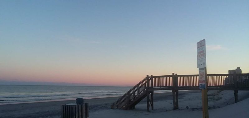 Low Key Peaceful Vibes Next To The Buzz