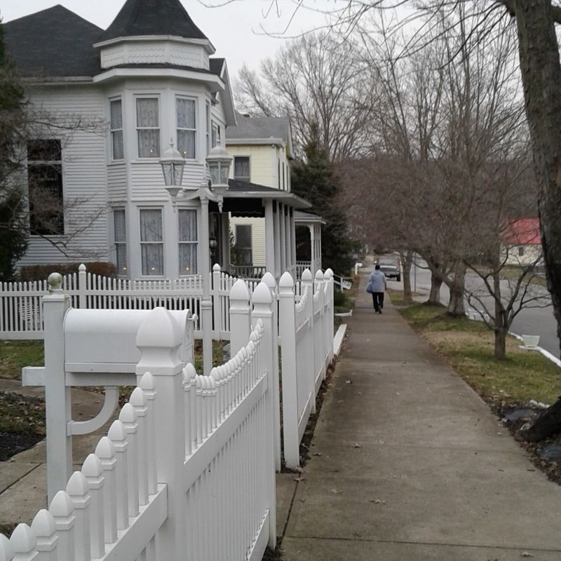 Tree-Lined Streets Made for Peaceful Afternoon Wandering