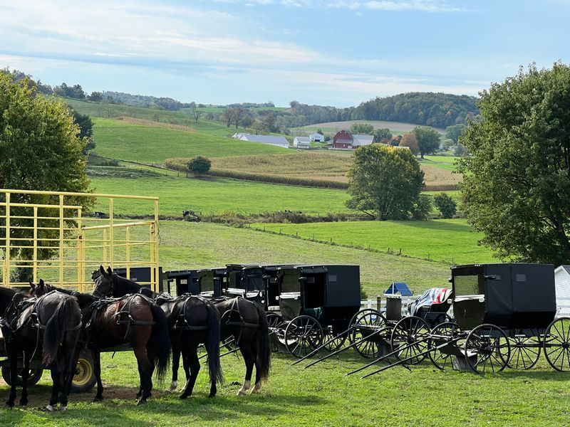 Exploring Idaho's Amish Trail: A Journey Through Rural Countryside