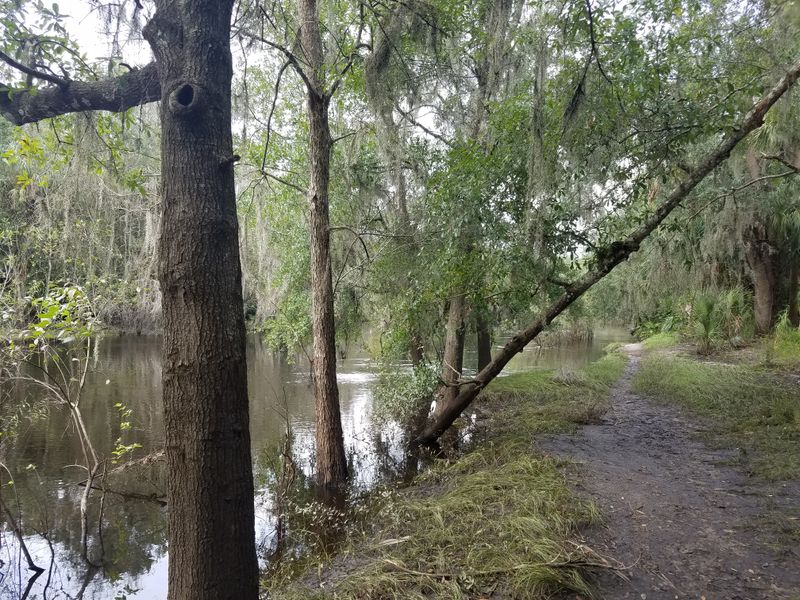 Zolfo Springs and The Peace River