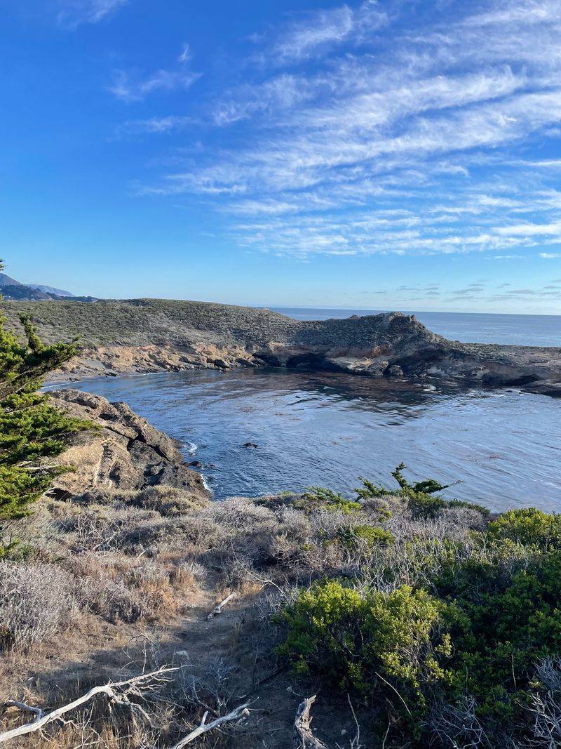 Stargazing From Asilomar State Beach
