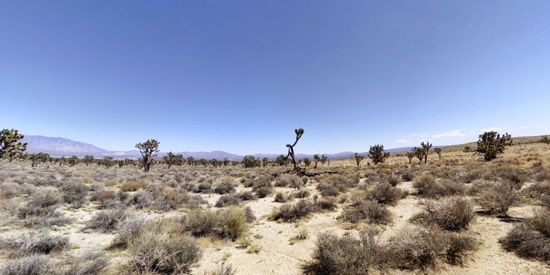 Proximity to Mojave National Preserve Adventures