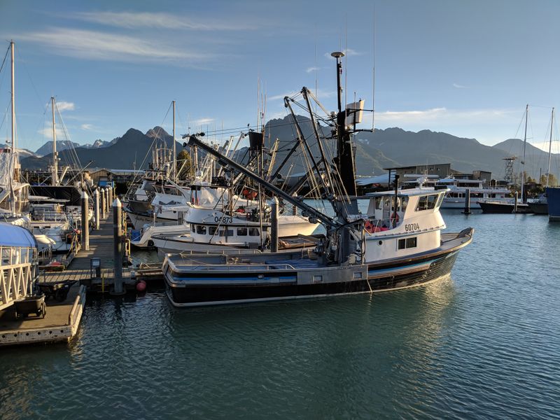 Salmon Fishing Paradise