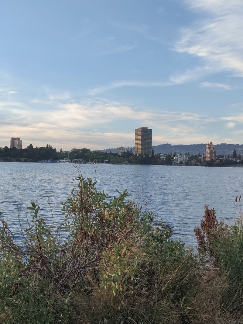 The Myth That Driving Through Fog Required Complete Darkness