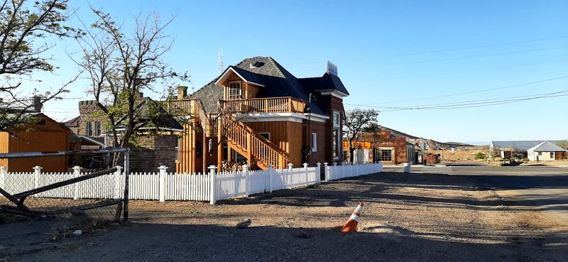 Seasonal Desert Wildflower Transformations