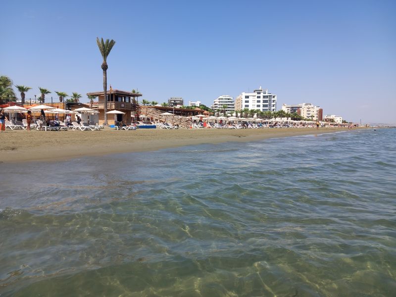 Storm Warnings and Shifting Dunes