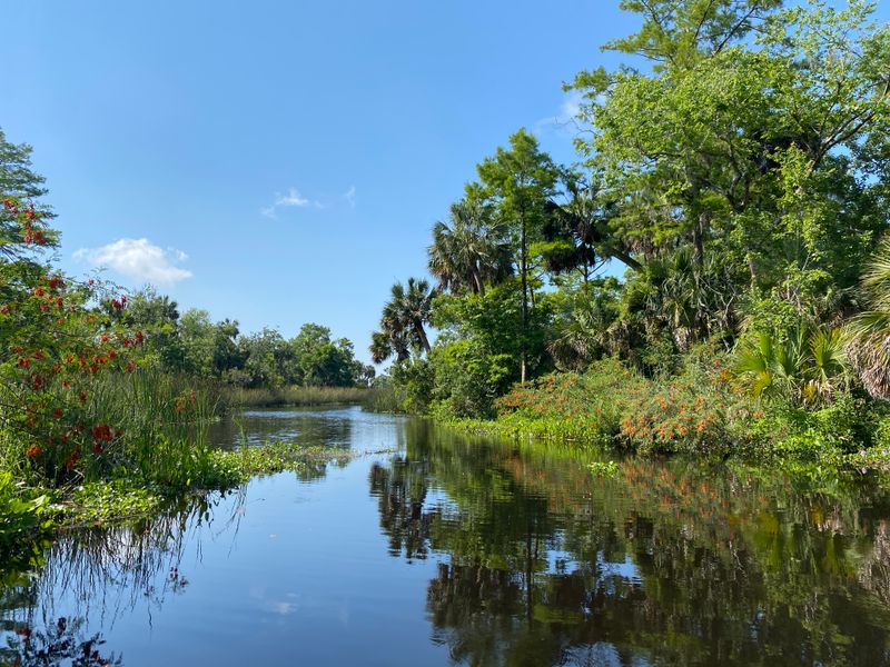 Apalachicola River and Estuarine System