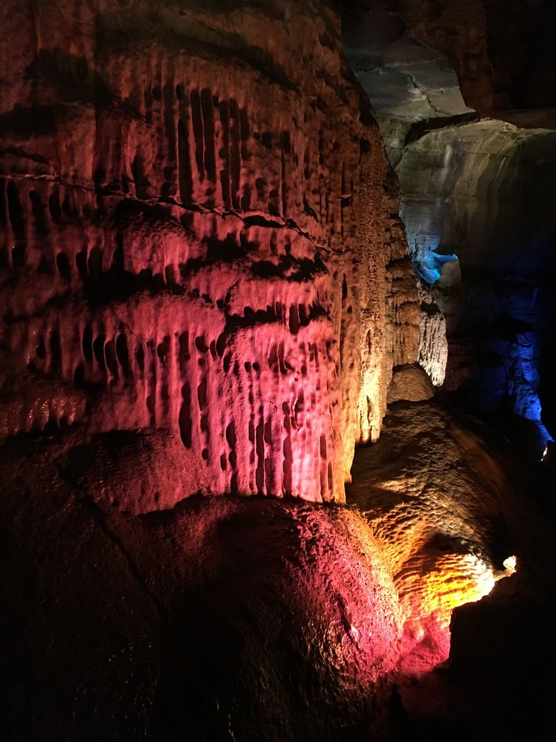 The Secret Caverns