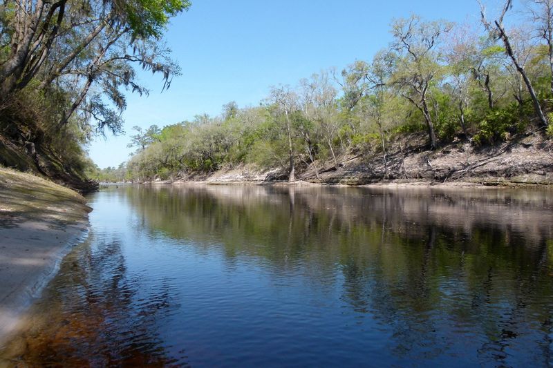 Suwannee River Valley