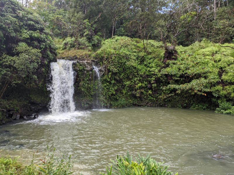 Untouched Natural Landscapes and Rainforest Ecosystems