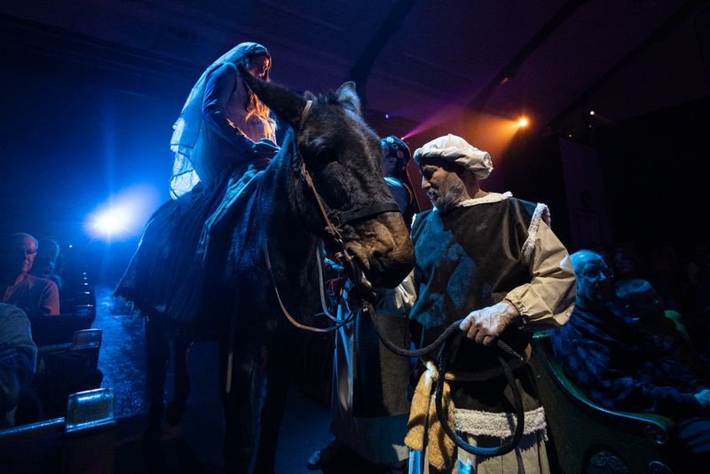 Living Nativity Scene With Real Animals