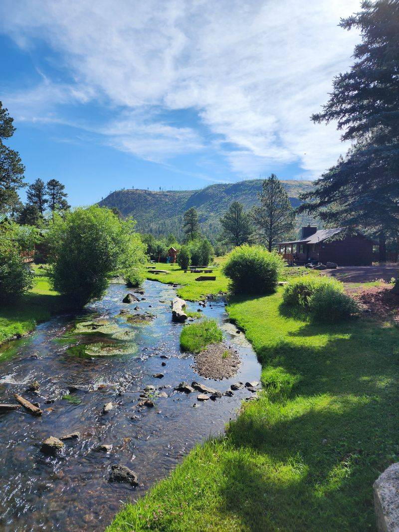 Seasonal Transformations and Year-Round Appeal