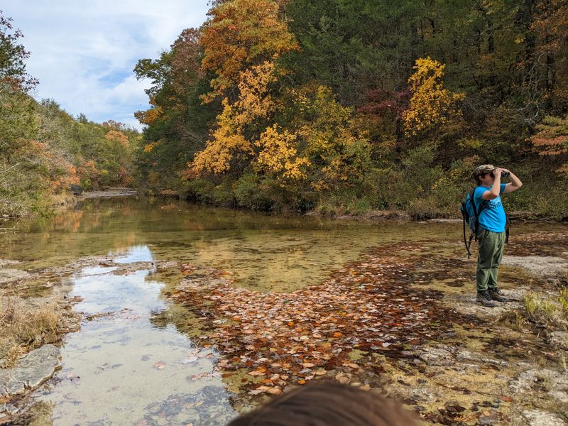 What Makes Hercules Glades Feel Like A Lost Forest