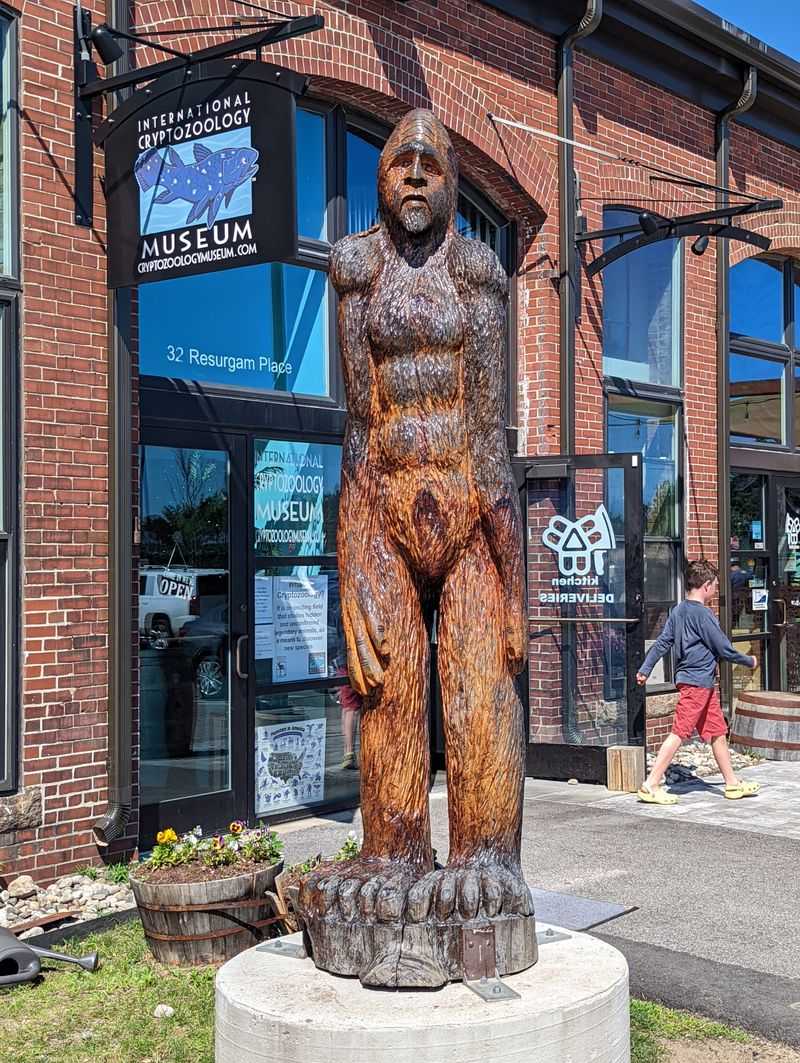 A welcoming doorway into wonder