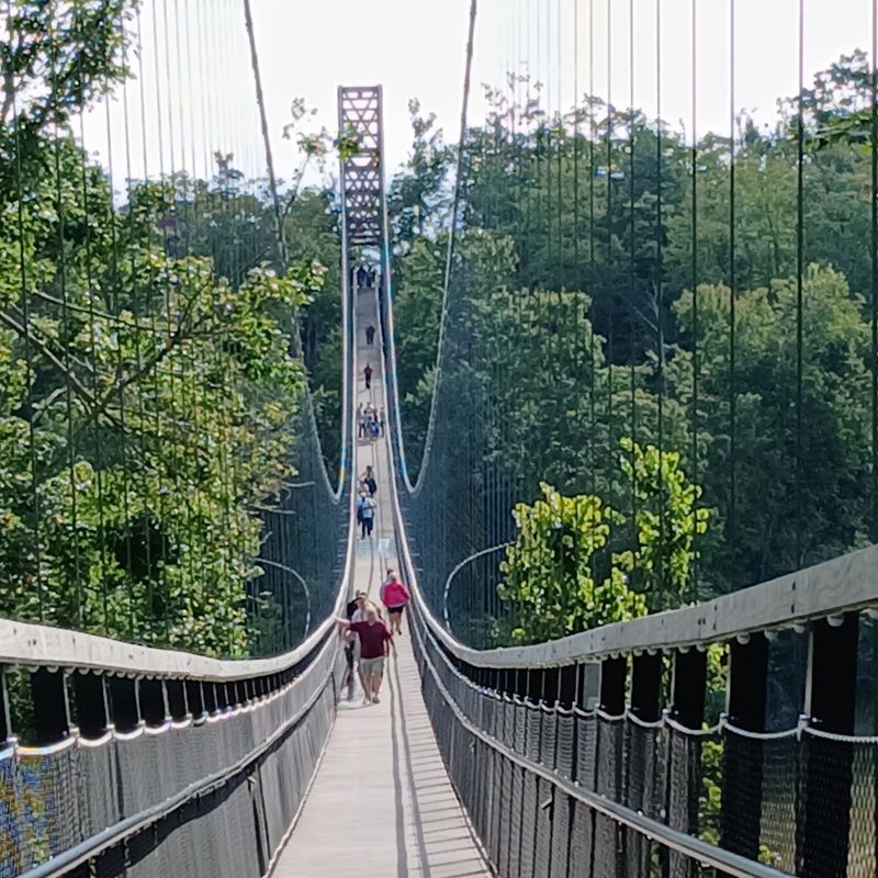 SkyBridge Michigan views and village vibes