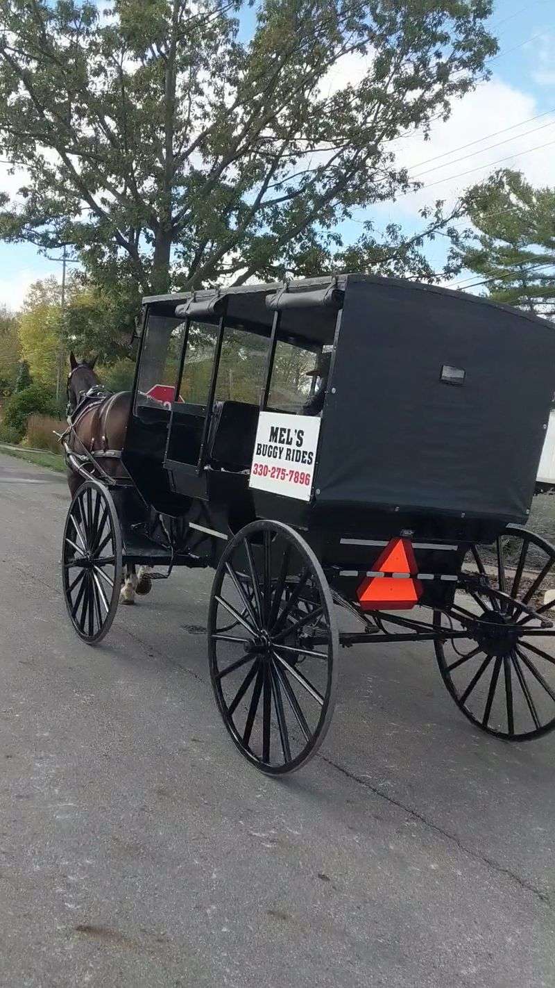 Buggies at Dawn on Quiet County Roads