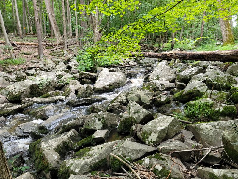 Ringing Rocks County Park