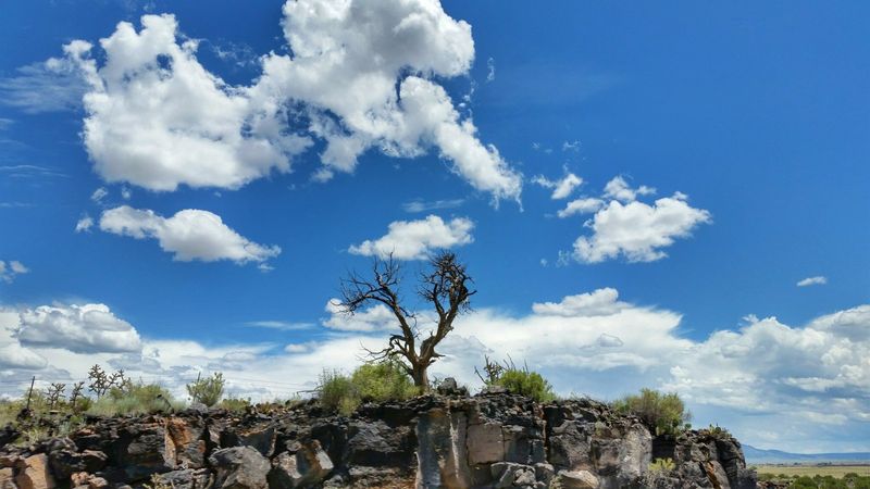 Valley of Fires Edge
