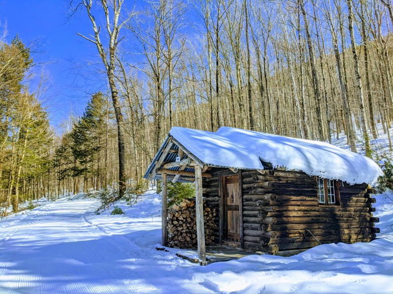Nature Preserve Trails Where Wildlife Outnumbers People