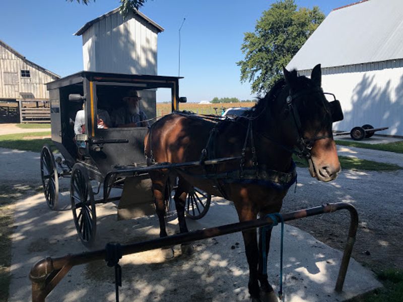 Rockome Gardens: Where Tourism Meets Tradition