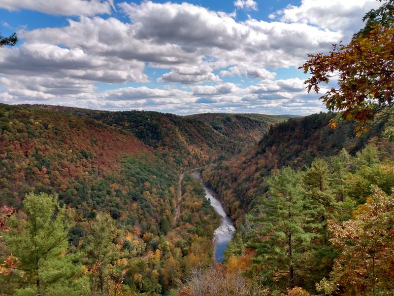 Four Seasons of Natural Beauty