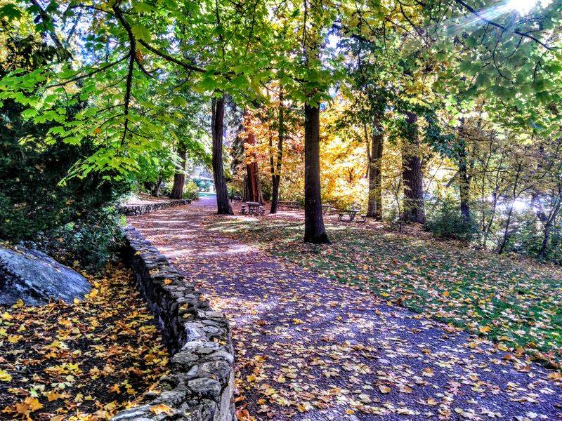 Lithia Park trail loops, mellow miles for every mood