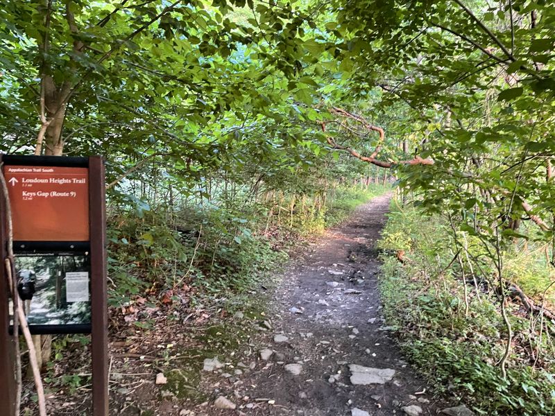 Hidden Trails Beyond Appalachian Path
