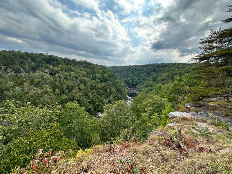 Planning Your Perfect Canyon Drive Experience