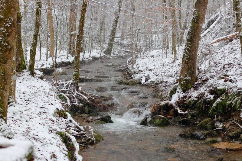 Little River's Winter Song