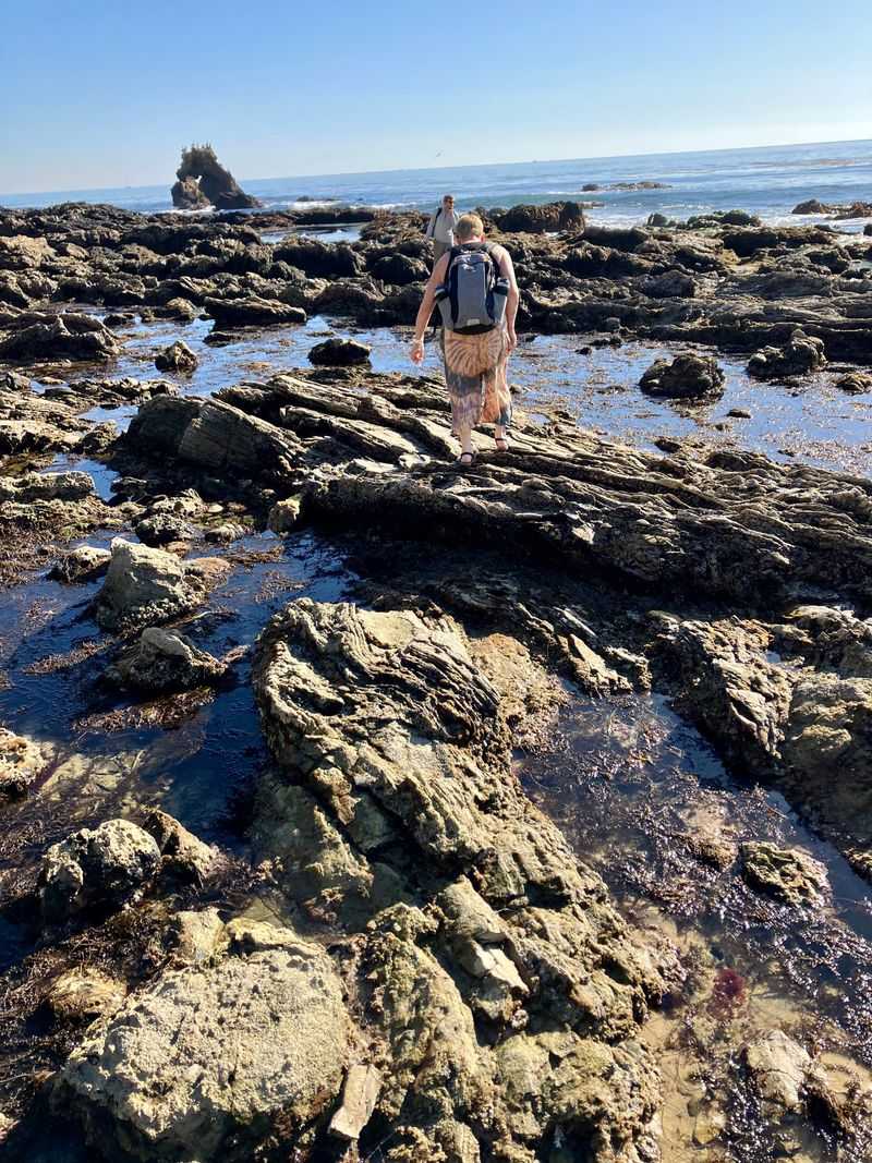 A Beach Detour For Tide Pools And Sneakers