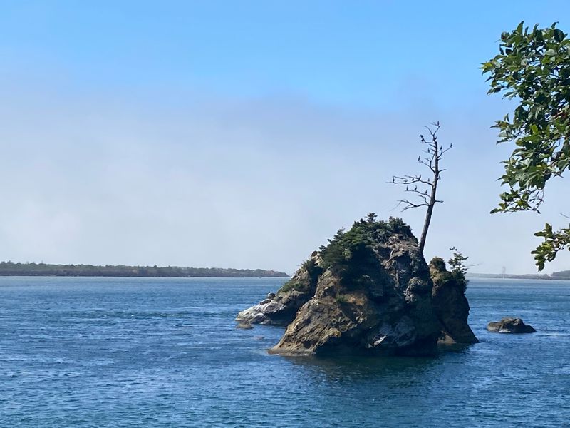 The Cultural and Historical Tour