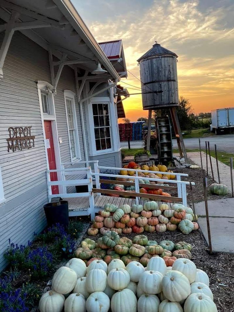Depot Market, Courtland