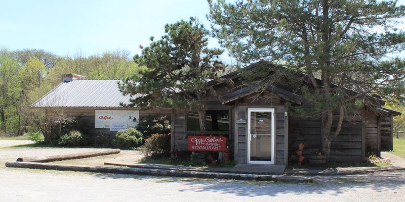 What Makes The Catfish Special