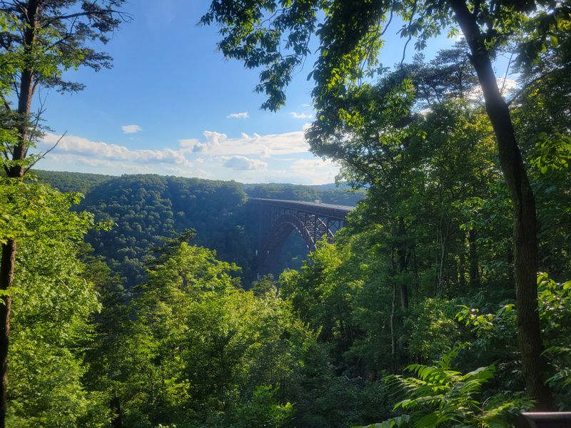 The Wildlife That Refuses to Cross