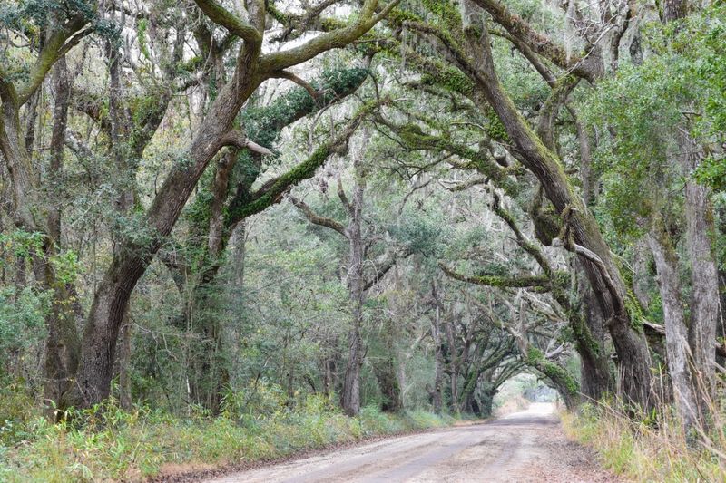 A Barrier Island That Never Chased Development