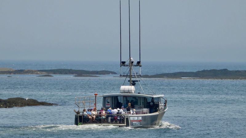 Fresh Lobster That Tastes Like Heaven But Costs a Small Fortune