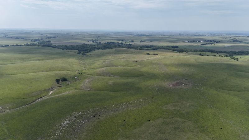 Flint Hills Prairie Views That Never End