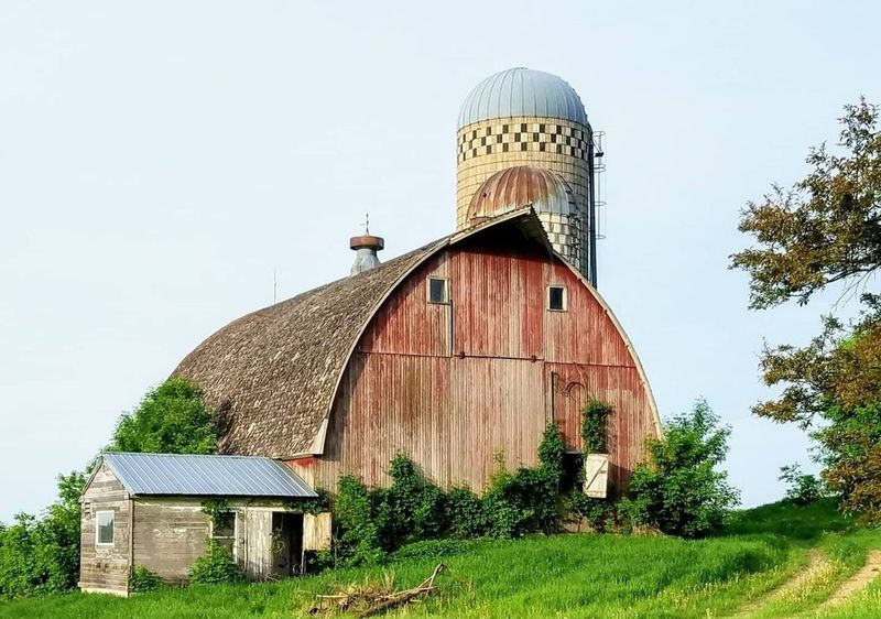 Ranches and butchers work side by side, Bismarck and beyond