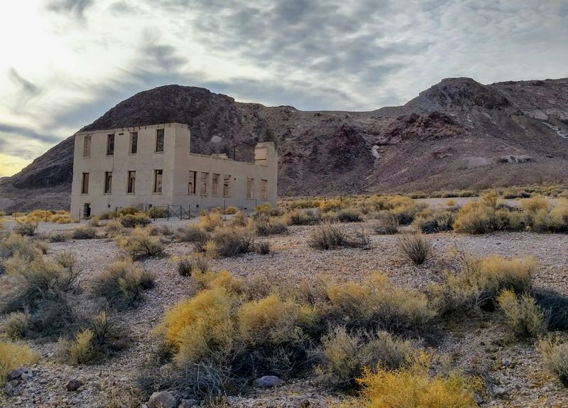 Desert Landscape and Seasonal Beauty