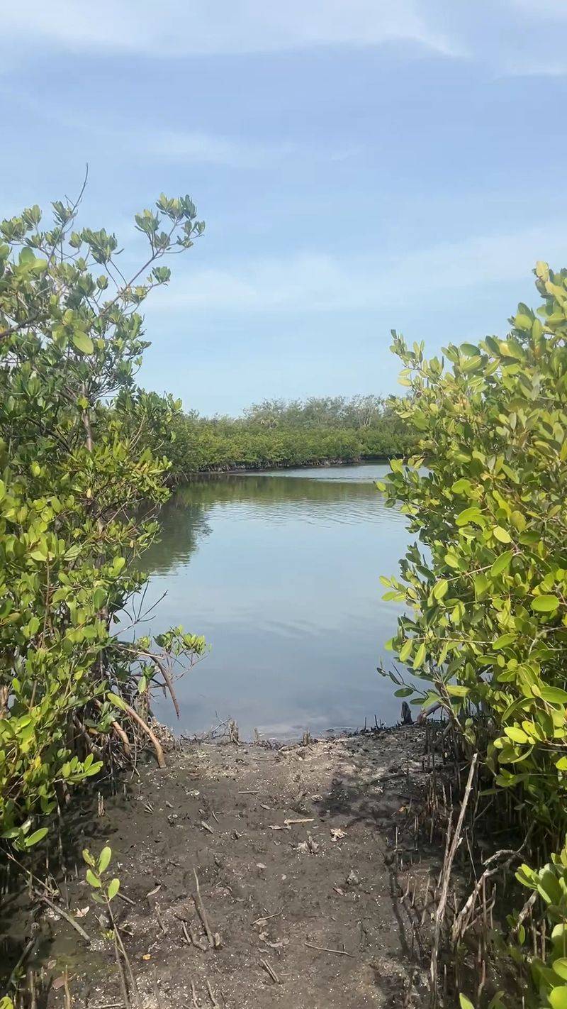 Cockroach Bay Aquatic Preserve