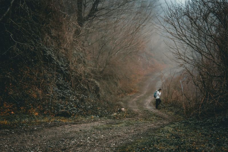 The Unchanging Scenery