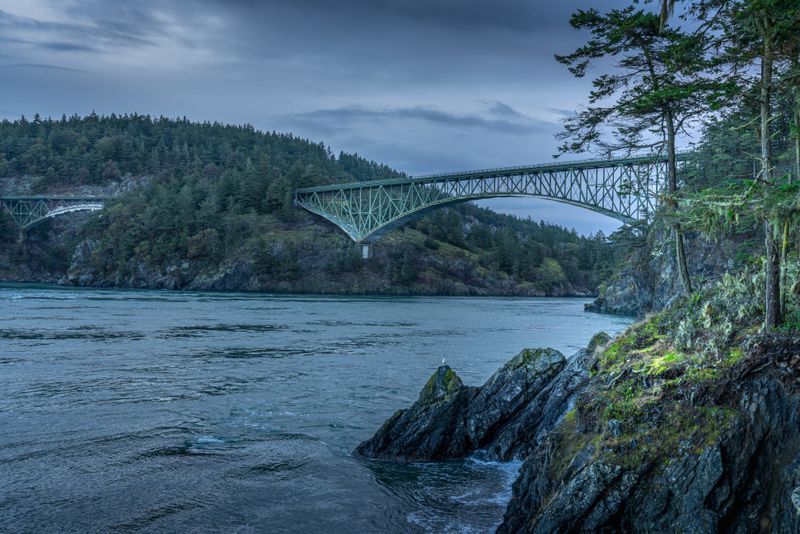 The Photo Opportunity That Breaks Social Media